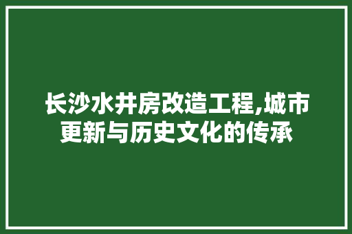 长沙水井房改造工程,城市更新与历史文化的传承