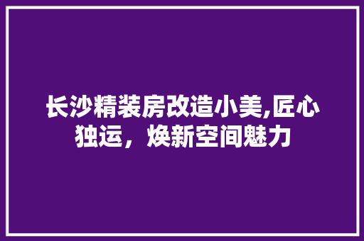 长沙精装房改造小美,匠心独运，焕新空间魅力