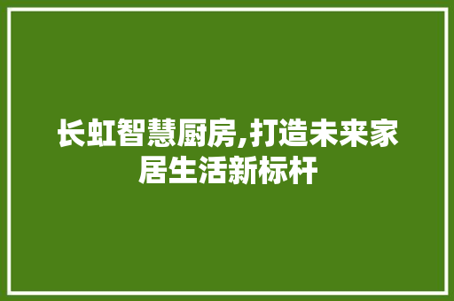 长虹智慧厨房,打造未来家居生活新标杆