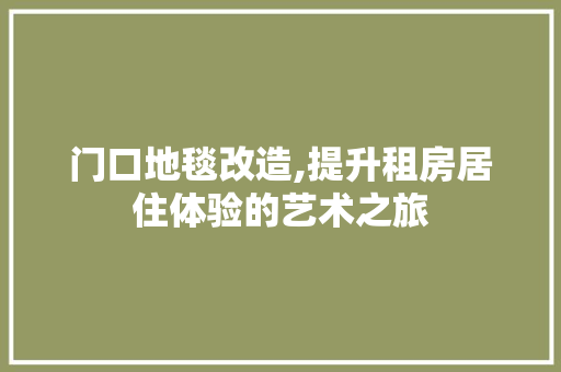 门口地毯改造,提升租房居住体验的艺术之旅 家电维修
