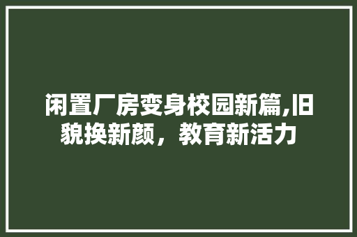 闲置厂房变身校园新篇,旧貌换新颜，教育新活力