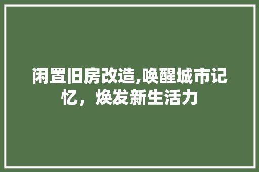 闲置旧房改造,唤醒城市记忆，焕发新生活力