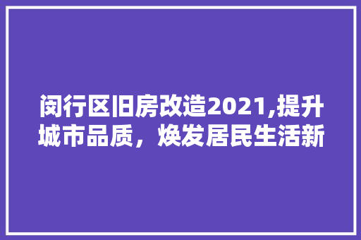 闵行区旧房改造2021,提升城市品质，焕发居民生活新活力