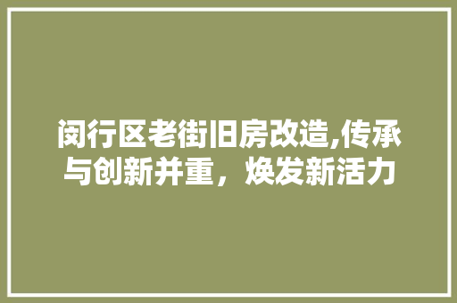 闵行区老街旧房改造,传承与创新并重，焕发新活力