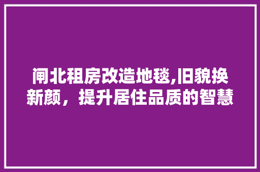 闸北租房改造地毯,旧貌换新颜，提升居住品质的智慧之路