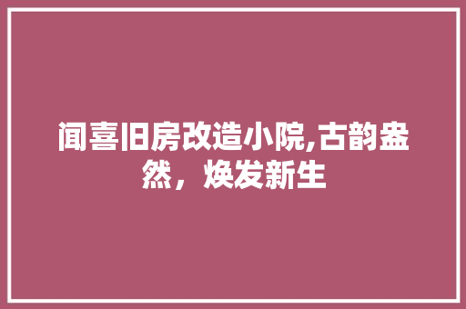 闻喜旧房改造小院,古韵盎然，焕发新生