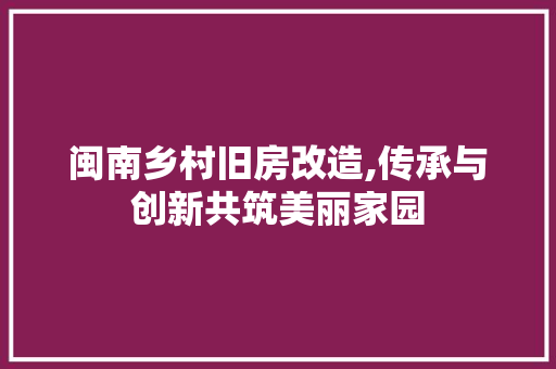 闽南乡村旧房改造,传承与创新共筑美丽家园