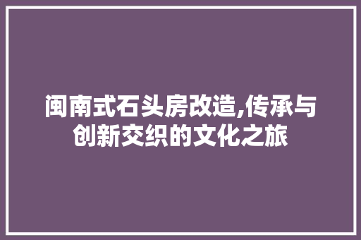 闽南式石头房改造,传承与创新交织的文化之旅