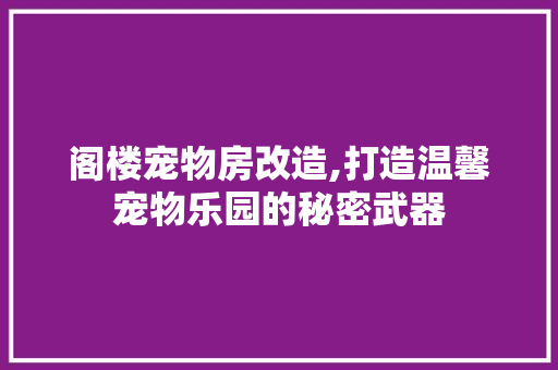 阁楼宠物房改造,打造温馨宠物乐园的秘密武器