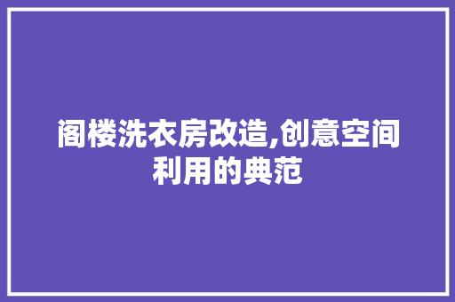 阁楼洗衣房改造,创意空间利用的典范