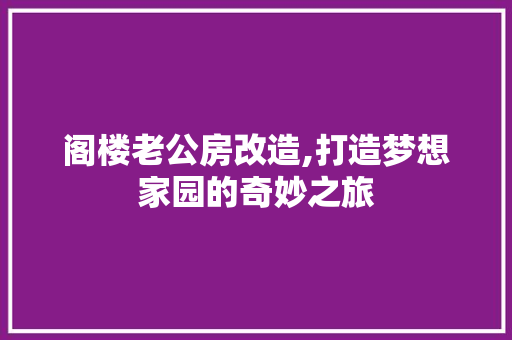 阁楼老公房改造,打造梦想家园的奇妙之旅