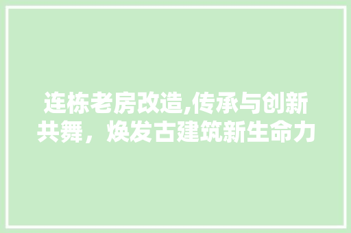 连栋老房改造,传承与创新共舞，焕发古建筑新生命力
