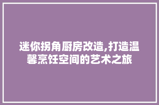 迷你拐角厨房改造,打造温馨烹饪空间的艺术之旅