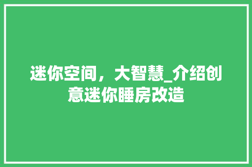 迷你空间，大智慧_介绍创意迷你睡房改造