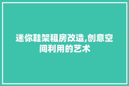 迷你鞋架租房改造,创意空间利用的艺术