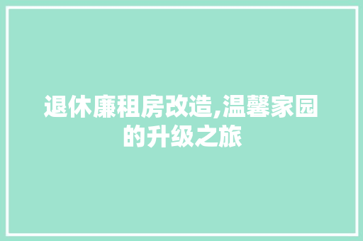 退休廉租房改造,温馨家园的升级之旅