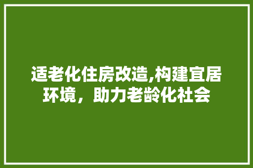 适老化住房改造,构建宜居环境，助力老龄化社会