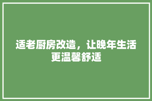 适老厨房改造，让晚年生活更温馨舒适