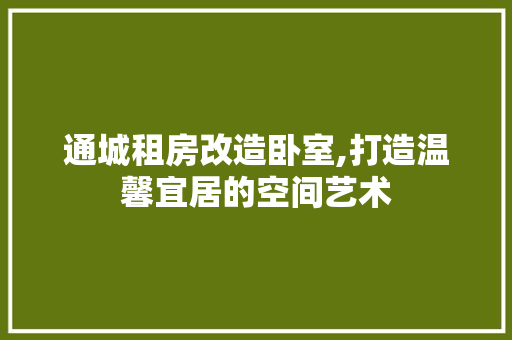 通城租房改造卧室,打造温馨宜居的空间艺术