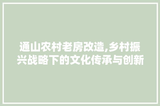 通山农村老房改造,乡村振兴战略下的文化传承与创新