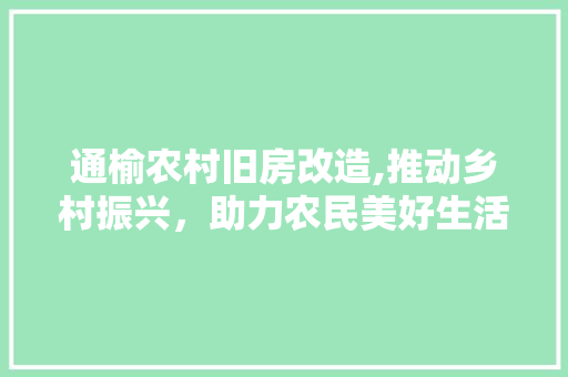 通榆农村旧房改造,推动乡村振兴，助力农民美好生活