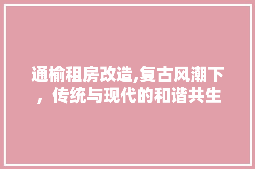 通榆租房改造,复古风潮下，传统与现代的和谐共生
