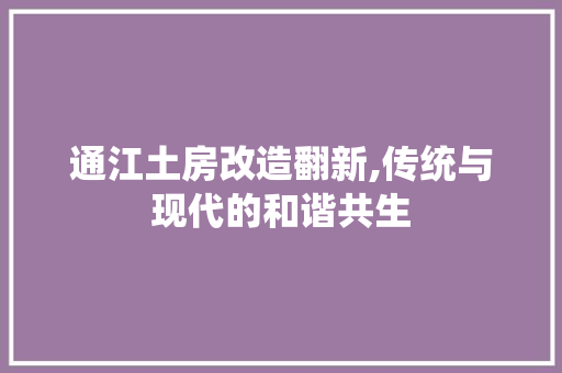 通江土房改造翻新,传统与现代的和谐共生