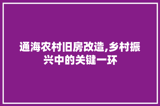 通海农村旧房改造,乡村振兴中的关键一环