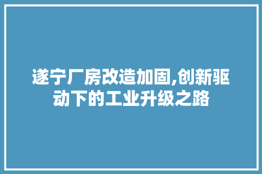 遂宁厂房改造加固,创新驱动下的工业升级之路