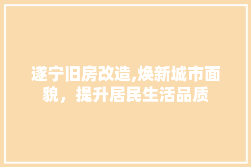 遂宁旧房改造,焕新城市面貌，提升居民生活品质
