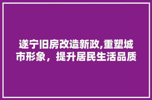 遂宁旧房改造新政,重塑城市形象，提升居民生活品质