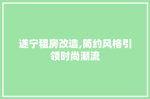 遂宁租房改造,简约风格引领时尚潮流