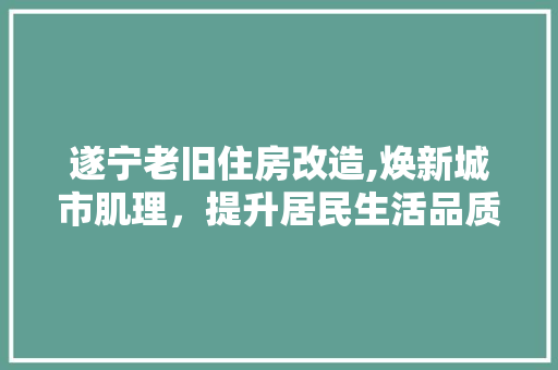遂宁老旧住房改造,焕新城市肌理，提升居民生活品质