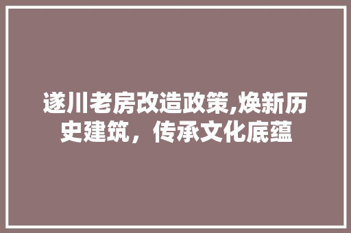 遂川老房改造政策,焕新历史建筑，传承文化底蕴