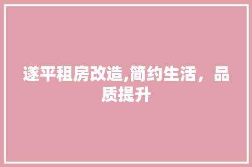 遂平租房改造,简约生活，品质提升