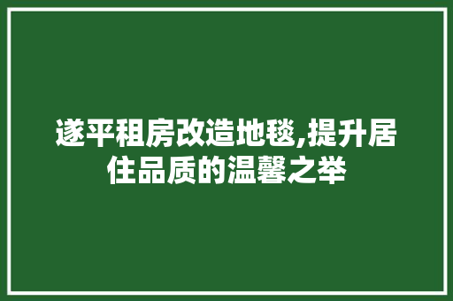 遂平租房改造地毯,提升居住品质的温馨之举
