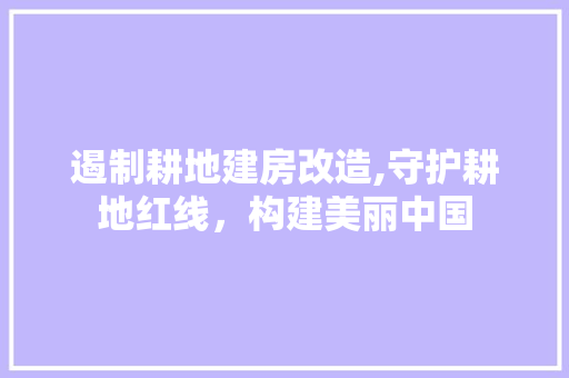 遏制耕地建房改造,守护耕地红线，构建美丽中国