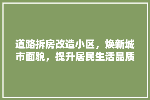 道路拆房改造小区，焕新城市面貌，提升居民生活品质