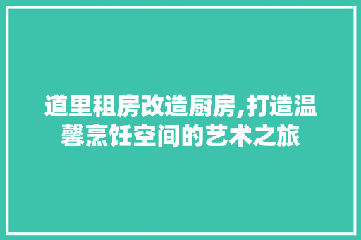 道里租房改造厨房,打造温馨烹饪空间的艺术之旅