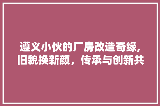 遵义小伙的厂房改造奇缘,旧貌换新颜，传承与创新共舞