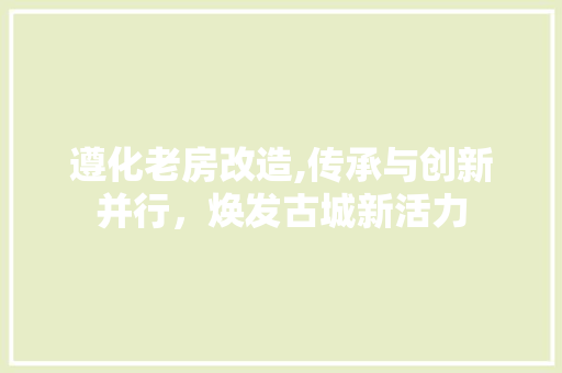 遵化老房改造,传承与创新并行，焕发古城新活力