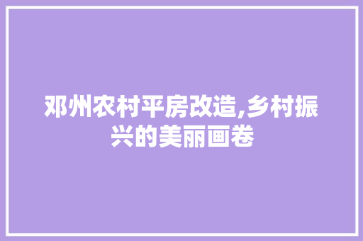 邓州农村平房改造,乡村振兴的美丽画卷