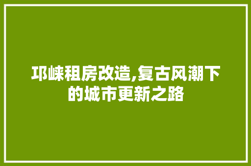 邛崃租房改造,复古风潮下的城市更新之路