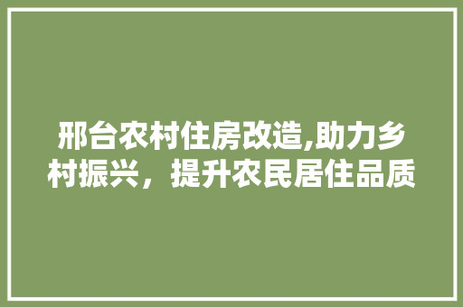 邢台农村住房改造,助力乡村振兴，提升农民居住品质
