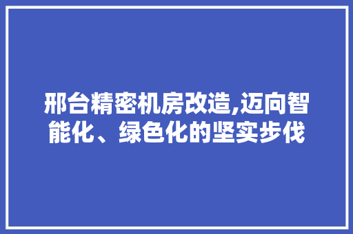 邢台精密机房改造,迈向智能化、绿色化的坚实步伐