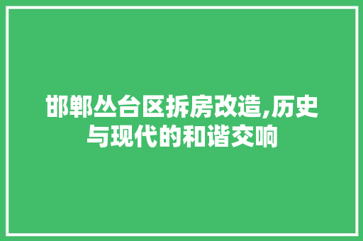 邯郸丛台区拆房改造,历史与现代的和谐交响