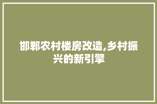 邯郸农村楼房改造,乡村振兴的新引擎