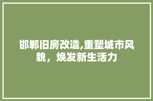 邯郸旧房改造,重塑城市风貌，焕发新生活力