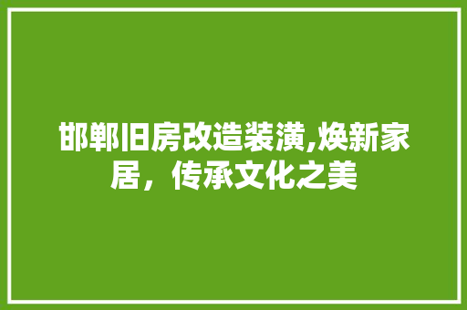 邯郸旧房改造装潢,焕新家居，传承文化之美