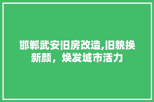 邯郸武安旧房改造,旧貌换新颜，焕发城市活力